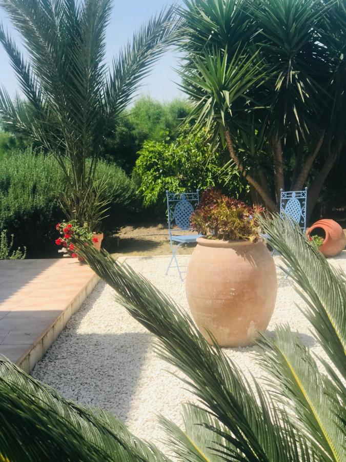 Villa Elia Bed And Breakfast Kiti 外观 照片
