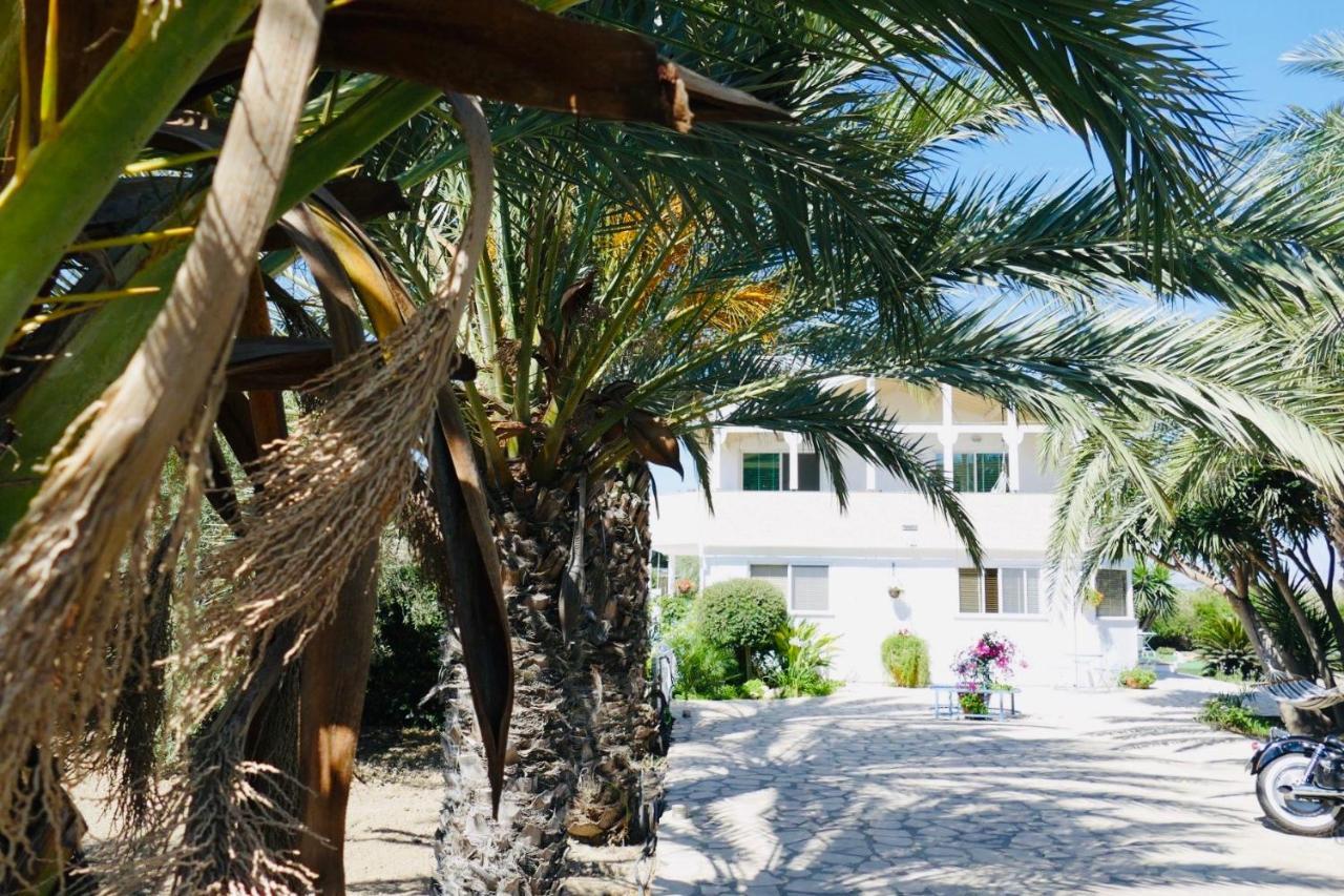Villa Elia Bed And Breakfast Kiti 外观 照片