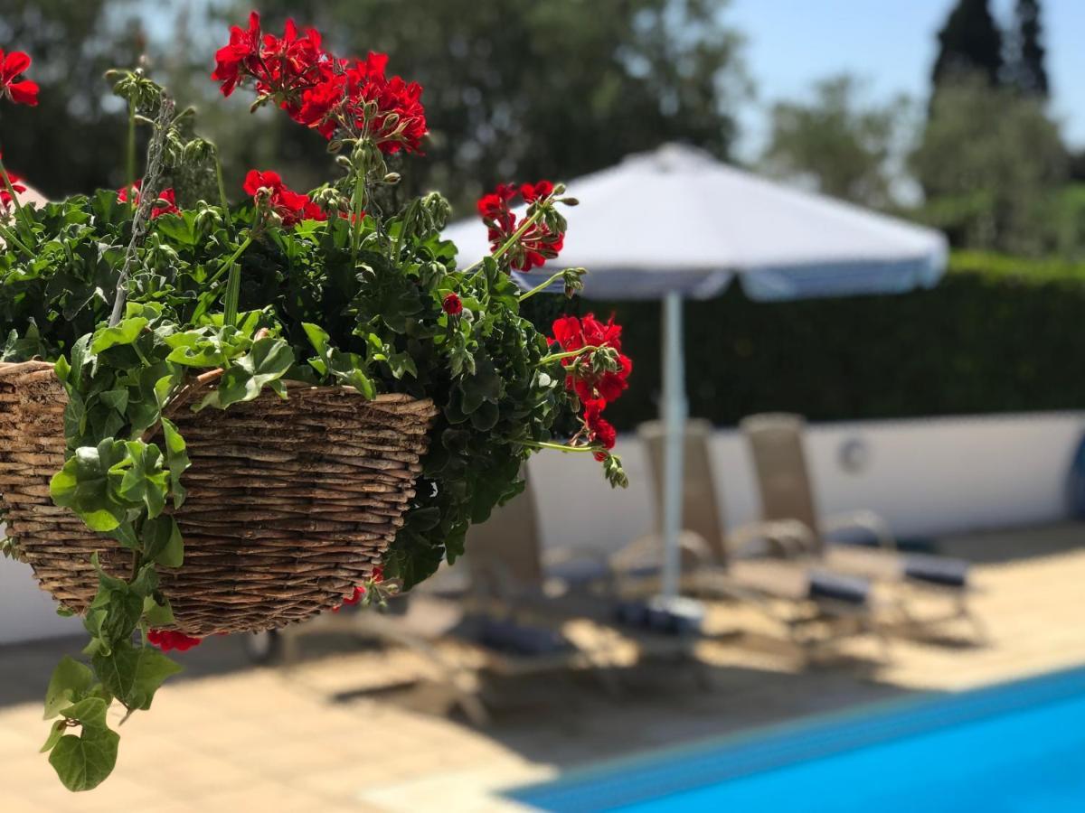 Villa Elia Bed And Breakfast Kiti 外观 照片