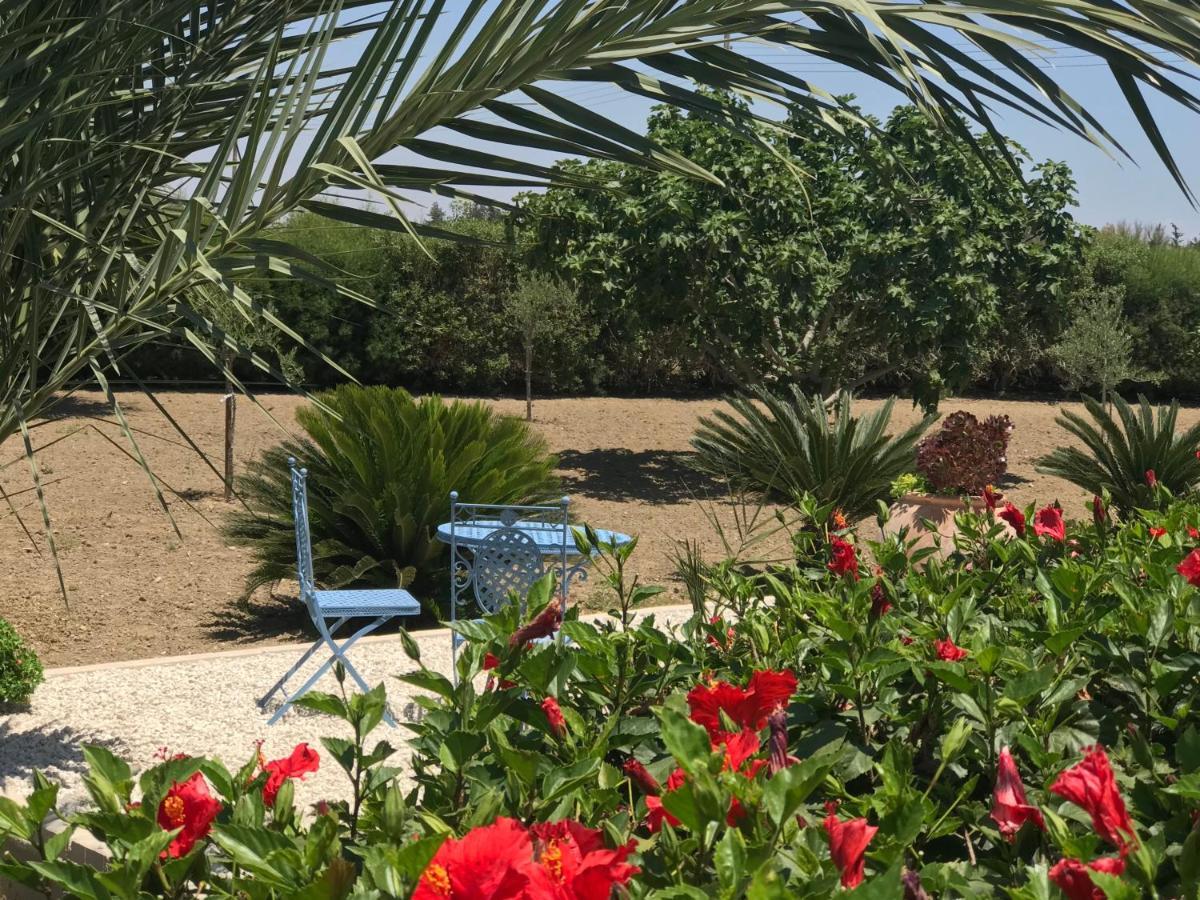 Villa Elia Bed And Breakfast Kiti 外观 照片